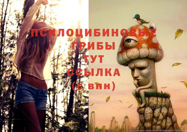 кокс Алзамай