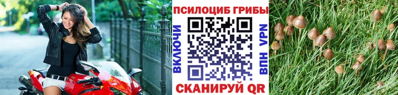 Псилоцибиновые грибы ЛСД  Белоярский 